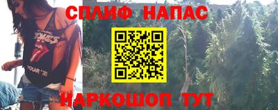 трава Новокубанск